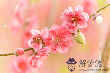 遠離爛桃花的方法|【破解桃花煞訣竅全攻略：遠離爛桃花，擁抱正緣】